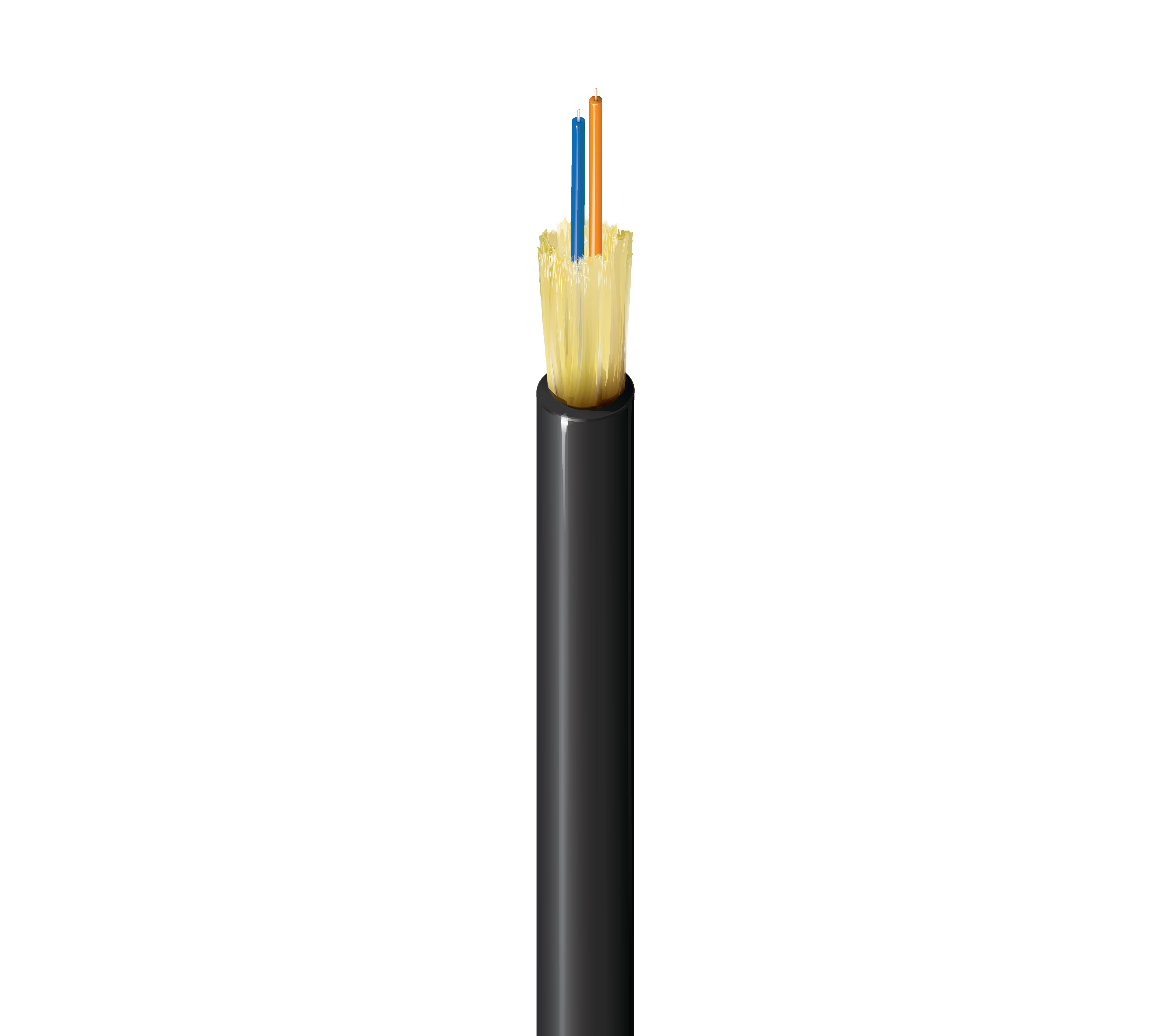 FD1D002L9