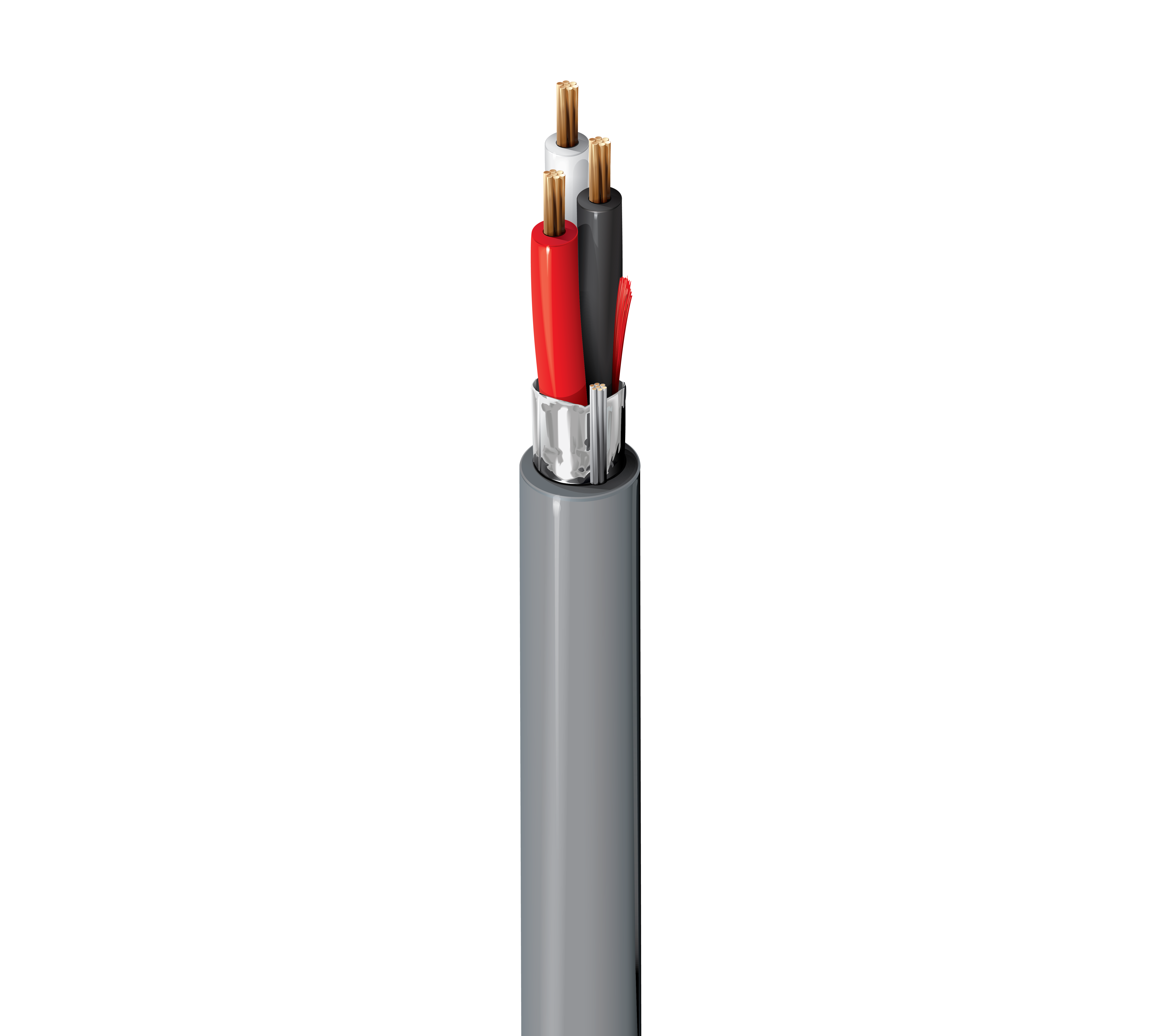 5501FE