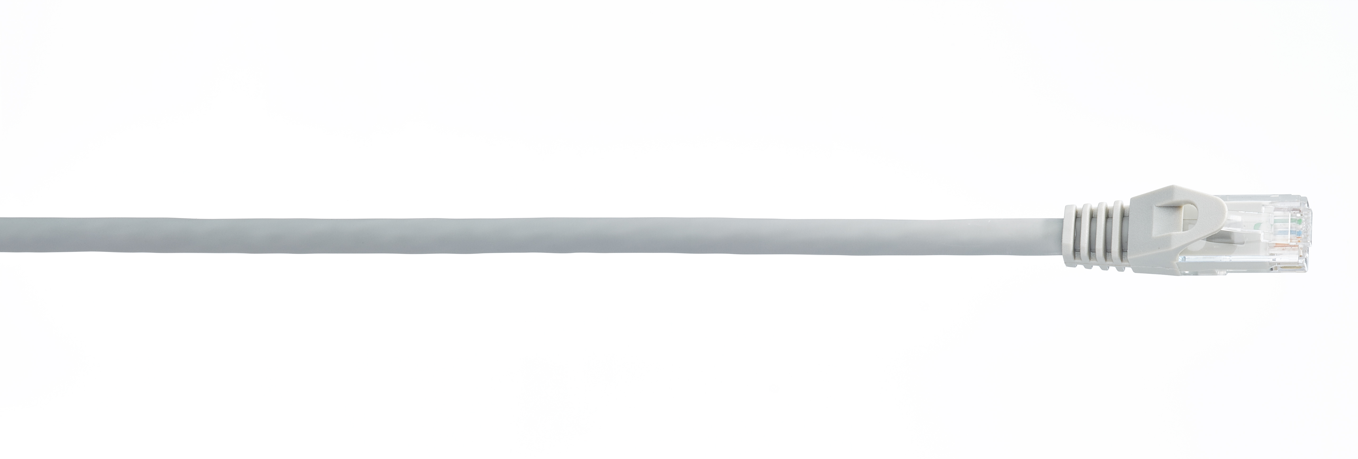 WireNet CAT6 Patchkabel UTP