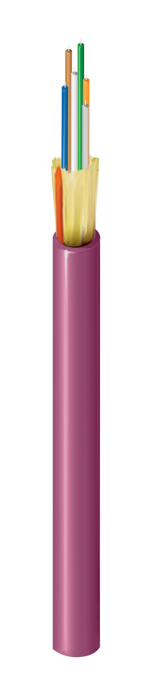FI4D006R9